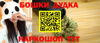 СК Дубна
