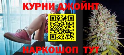 СК Дубна
