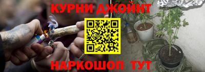 СК Дубна