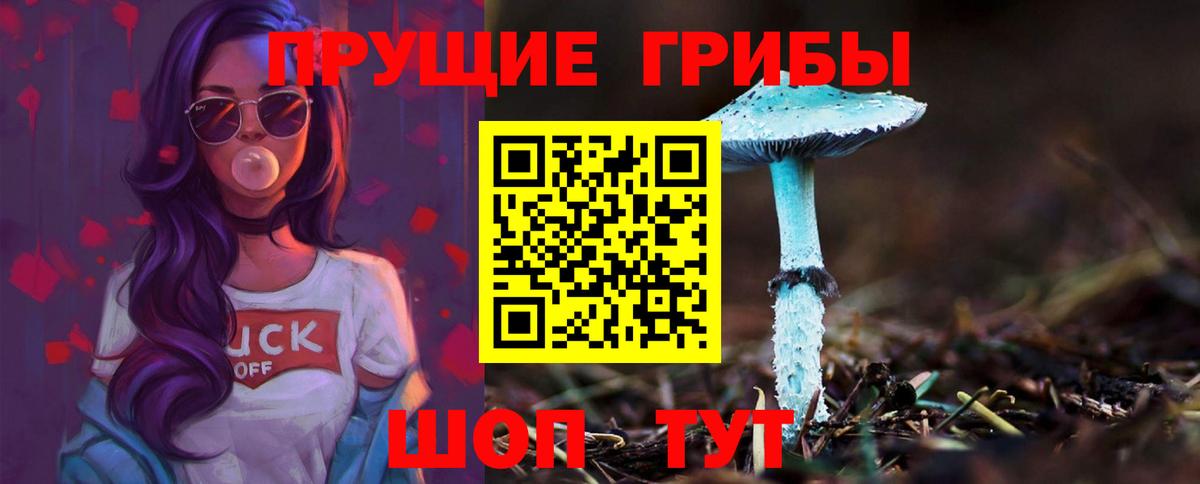 хочу   Вход с VPN  Майкоп  Галлюциногенные грибы прущие грибы 